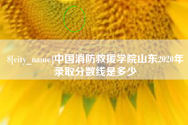 鄢陵中国消防救援学院山东2020年录取分数线是多少