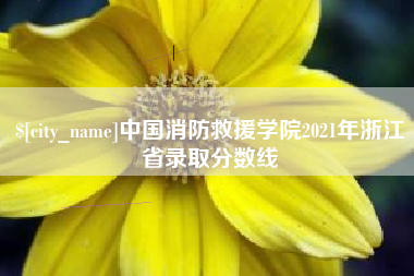 鄢陵中国消防救援学院2021年浙江省录取分数线