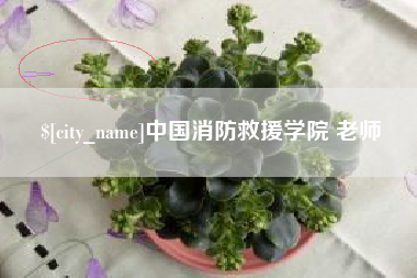 鄢陵中国消防救援学院 老师