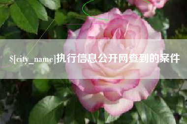 鄢陵执行信息公开网查到的案件