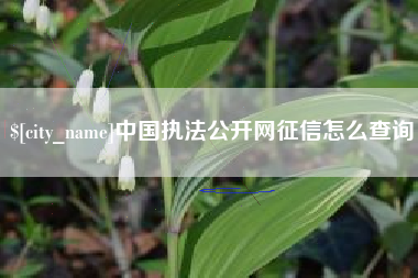 鄢陵中国执法公开网征信怎么查询