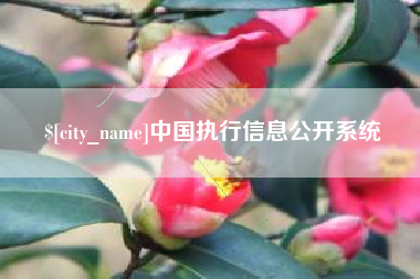 鄢陵中国执行信息公开系统