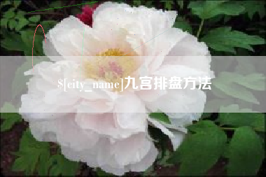鄢陵九宫排盘方法