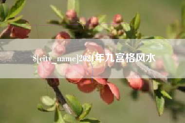 鄢陵2021年九宫格风水