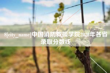 鄢陵中国消防救援学院2020年各省录取分数线