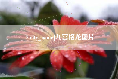鄢陵九宫格龙图片