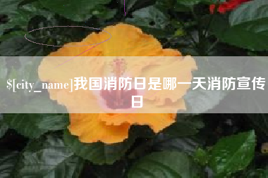 鄢陵我国消防日是哪一天消防宣传日