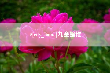 鄢陵九金是谁