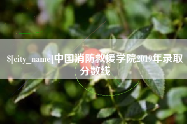 鄢陵中国消防救援学院2019年录取分数线