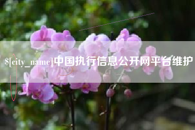 鄢陵中国执行信息公开网平台维护