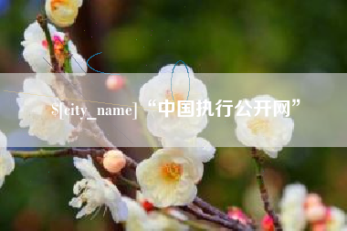 鄢陵“中国执行公开网”