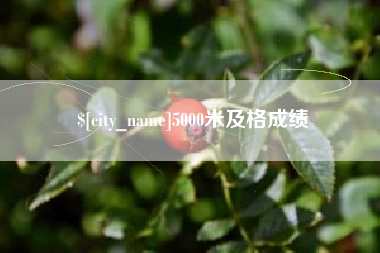 鄢陵5000米及格成绩