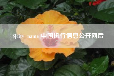 鄢陵中国执行信息公开网后