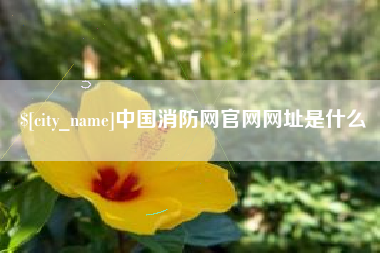 鄢陵中国消防网官网网址是什么