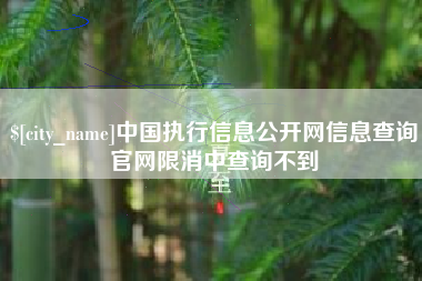 鄢陵中国执行信息公开网信息查询官网限消中查询不到