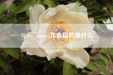 鄢陵九金指的是什么