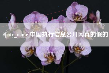 鄢陵中国执行信息公开网真的假的