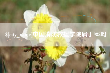 鄢陵中国消防救援学院属于985吗
