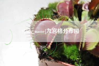 鄢陵九宫格分布图