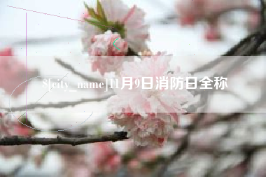 鄢陵11月9日消防日全称
