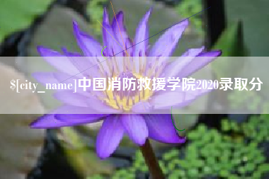 鄢陵中国消防救援学院2020录取分