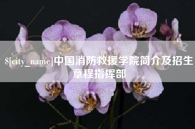 鄢陵中国消防救援学院简介及招生章程指挥部