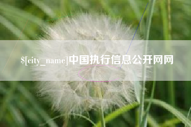 鄢陵中国执行信息公开网网