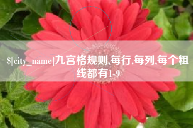 鄢陵九宫格规则,每行,每列,每个粗线都有1-9