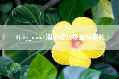鄢陵消防证初级查询系统