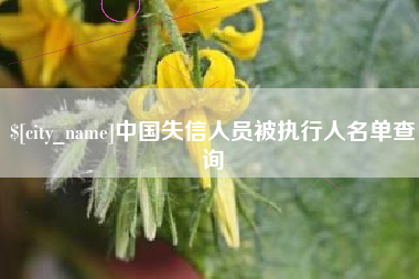 鄢陵中国失信人员被执行人名单查询