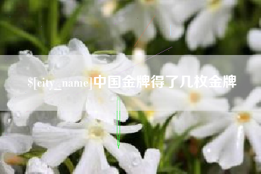鄢陵中国金牌得了几枚金牌