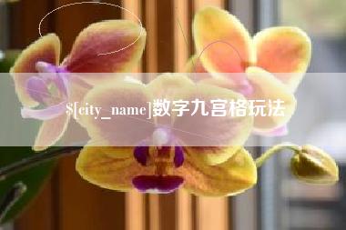 鄢陵数字九宫格玩法