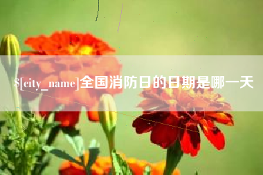 鄢陵全国消防日的日期是哪一天