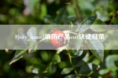 鄢陵消防产品cccf认证目录