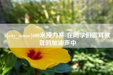鄢陵600米接力赛-在同学们震耳欲聋的加油声中
