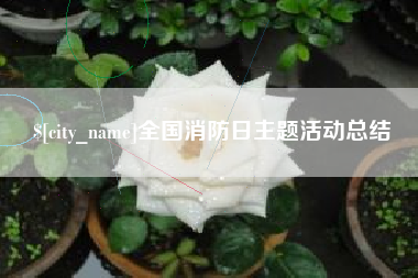 鄢陵全国消防日主题活动总结