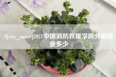 鄢陵2021中国消防救援学院分数线是多少