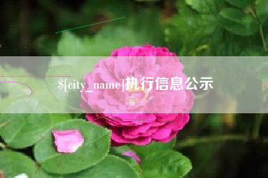 鄢陵执行信息公示