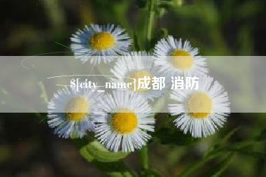 鄢陵成都 消防