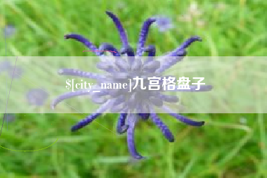 鄢陵九宫格盘子