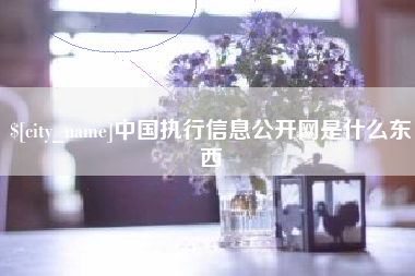 鄢陵中国执行信息公开网是什么东西