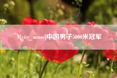 鄢陵中国男子5000米冠军