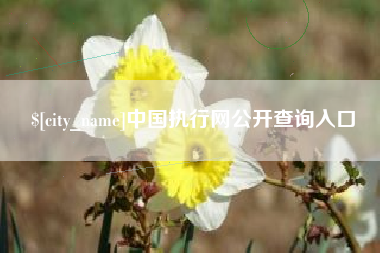 鄢陵中国执行网公开查询入口
