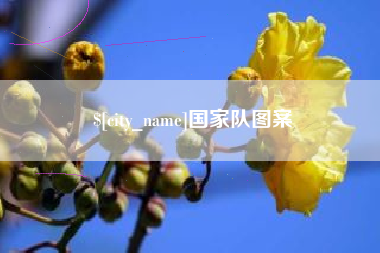 鄢陵国家队图案