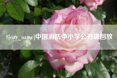 鄢陵中国消防中小学公开课回放