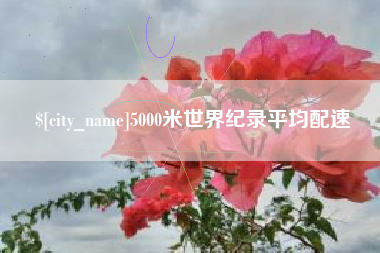 鄢陵5000米世界纪录平均配速