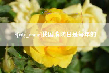 鄢陵我国消防日是每年的