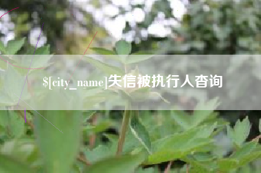 鄢陵失信被执行人杳询