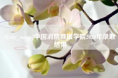 鄢陵中国消防救援学院2020年录取结果