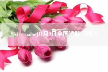 鄢陵11月9日全国消防日图片